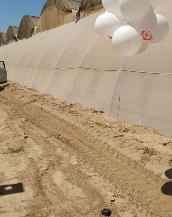 בלוני נפץ בשדות נגב // צילום: דוברות המשטרה